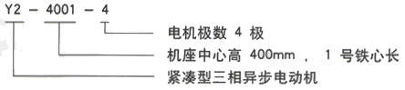 YR系列(H355-1000)高压YJTFKK5603-8三相异步电机西安西玛电机型号说明